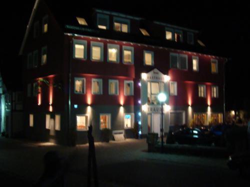 Gasthaus Traube Dettingen an der Erms Exteriér fotografie